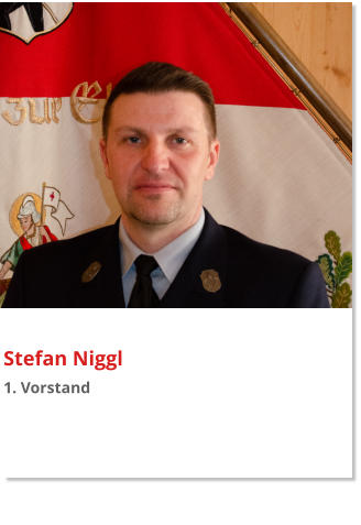Stefan Niggl 1. Vorstand